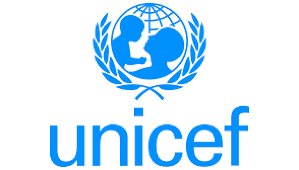 Partnerships Officer Vacancy-Job Ref: EJMCUNICEF/0809/202664